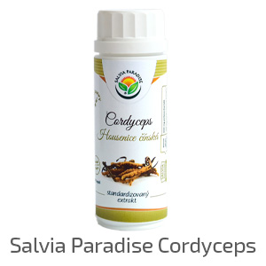 Salvia_paradise_cordyceps